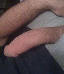 More Cocks Of New York - Hard and Soft Edition 5a0d7cb652b41.jpg