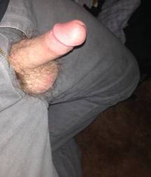 More Cocks Of New York - Hard and Soft Edition 5a0d7cc00e588.jpg
