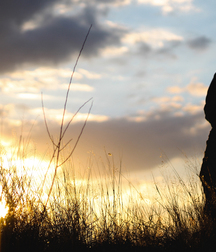 art-sunsets 01 574c3c1a9ae83.jpg