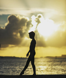 art-sunsets 01 574c3c23f139a.jpg