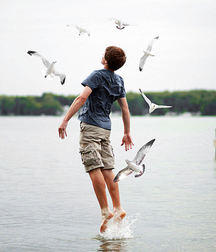 Cute boys and their birds  5a3de8085642c.jpg