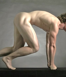 Muscle 02 58724d471892c.jpg