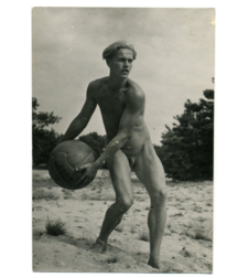 Golden boys  5bd5e4327eb1f.png