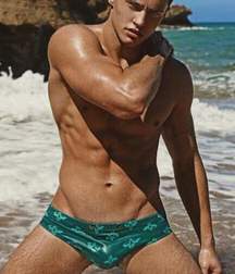 Speedo 01 5df584680f937.jpg