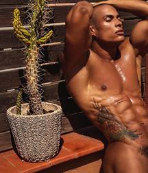 Six pack abs 05 5dff908f6e691.jpg