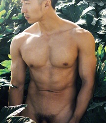 Asian Muscle Mega Mix Number Three Gay Porn 61393fd181b40.jpg