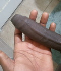 My Beautiful Dick 5301f0dce4fc3.jpg