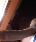 My Beautiful Dick 5301f11d4fbe6.jpg