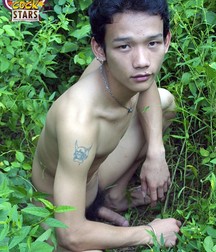 Siam Island 59c740caec021.jpg