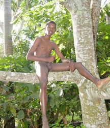 Dominican02 59de44c7e81fb.jpg