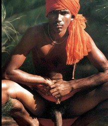 India Sit 5b70cd295b277.jpg