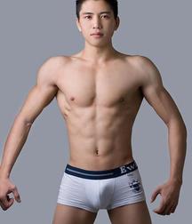 Japanese Non Nude2 5d1518fe34223.jpg
