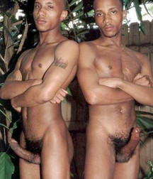 Twins 5dd9a187adcdb.jpg