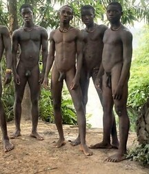 Twinks Porn Groups Gay Tube 01 5f88d0076a61c.jpg