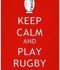 Rugby Boys  560e43cee43a7.jpg