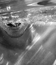 The Roving Eye 9 5628035ac655c.jpg