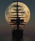 Roving Eye 28 567956a70f12c.jpg