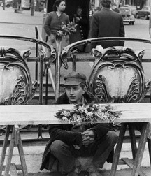  Ragazzi Carini 19 5691dfdd73b2a.jpg