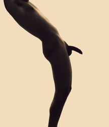 Pinups 2  5697c5931d004.jpg