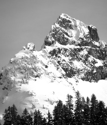 Beau Garçons 57 569c7fbe6a90c.jpg