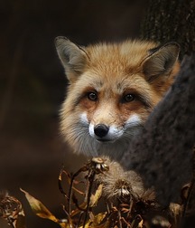 Mooie Jongens 5 56c406c71a881.jpg