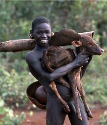 Boys From The Net 46 5799a2228f809.jpg