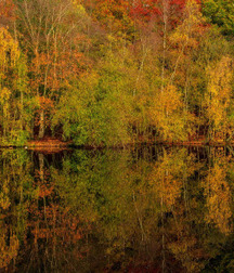 Beautiful Autumn 58274a6ab320e.jpg