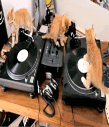 Beautiful Autumn 58274a767b378.gif