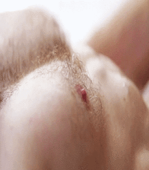 Beautiful Autumn 58274adbc70f2.gif