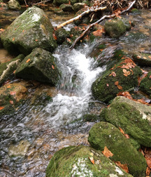Beautiful Autumn 58274af33792d.jpg
