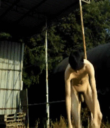 Schönen Jungen 160 584e9ca329aad.gif