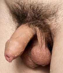 Horstikusmix 32 592c25155d3f7.jpg