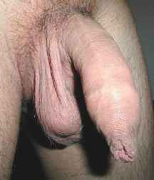 Horstikusmix 32 592c251675094.jpg