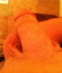 Myself Naked 55fe3eef312c0.jpg