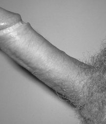 Zizis 5c8a8f4bedf96.jpg