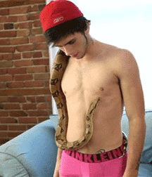 i like gifs 5851b81c9a761.gif