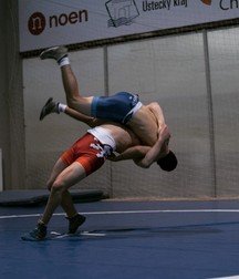 Wrestling Boys 5a5e6f9350d44.jpg