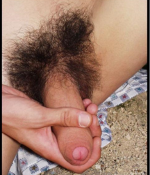 Wanking On The Wall   5c326ec574b5e.png