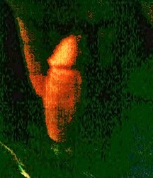naked guys 580d64b52cb86.jpg