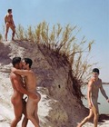 Harington's Beach Boys 1 551480d0f1e69.jpg
