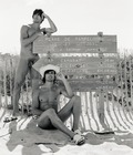 Harington's Beach Boys 1 551480d2c7c28.jpg