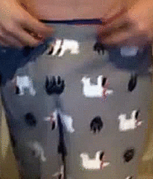 Imágenes en movimiento 1. 5be2d5d3896c9.gif