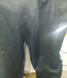 teen breeading, slave boy porn 60c27759cc303.jpg