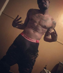 Saggers 5c062755ae6b2.png