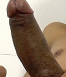 nwaf photos gallery 5a037739a6ac6.png