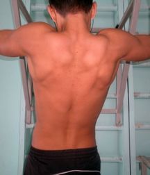 Muscle Cuties III 581fbd2f15f3b.jpg