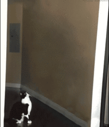 My Favorite Art From The GBT Community! 5b6ed014e44c5.gif