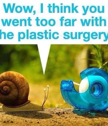 GBT And Funnies! For All Members! 5c090a8a11f16.jpg