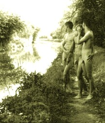 nudity public seen boys porn gone wild 62f7b8863353d.jpg