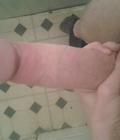 My Cock  526ab903dd7c0.jpg
